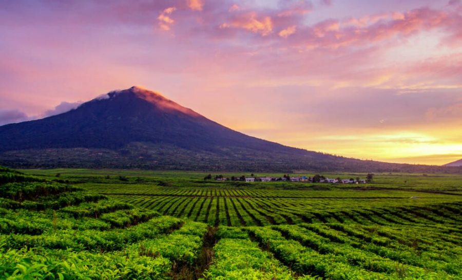 Mendaki Salah Satu Gunung Tertinggi  di  Indonesia  Gunung 