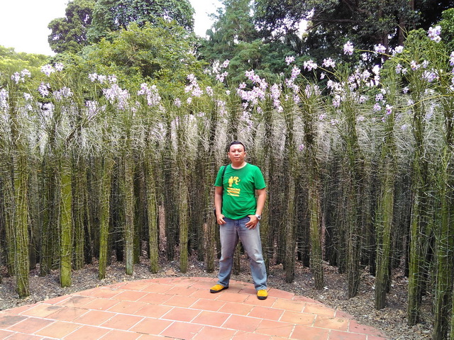 backpacker ke singapura