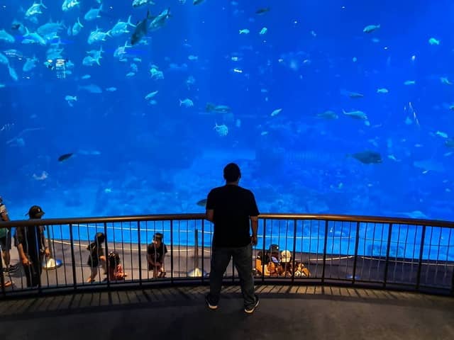 tempat wisata di singapura ramah anak