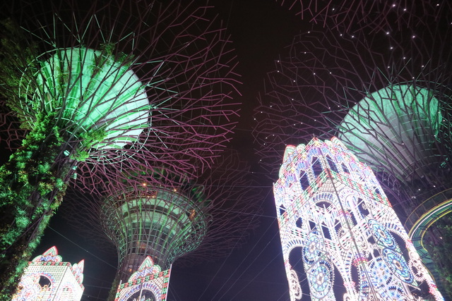 gardens by the bay
