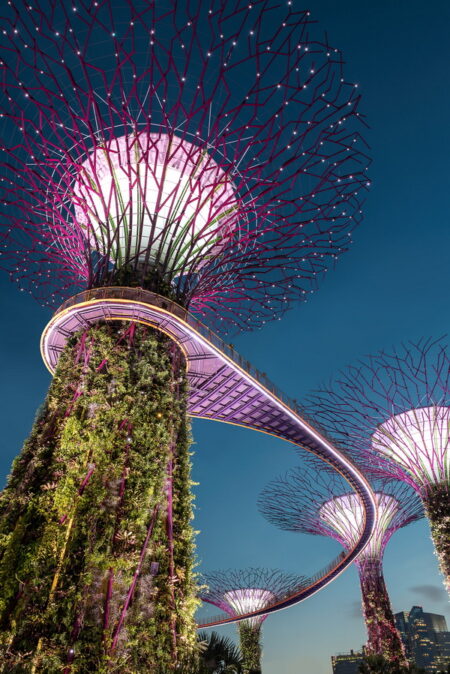 Gardens By The Bay Singapore