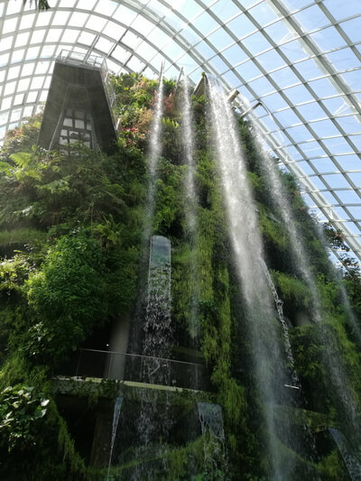 Cloud Forest Gardens By The Bay Singapore
