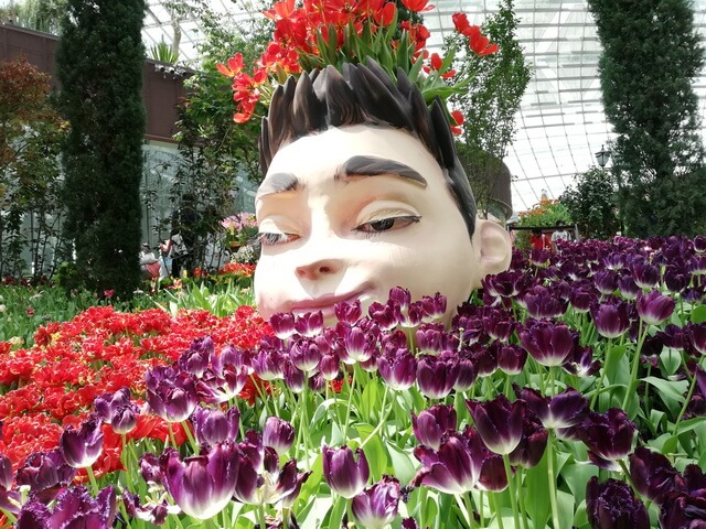 Flower dome Gardens By The Bay Singapore