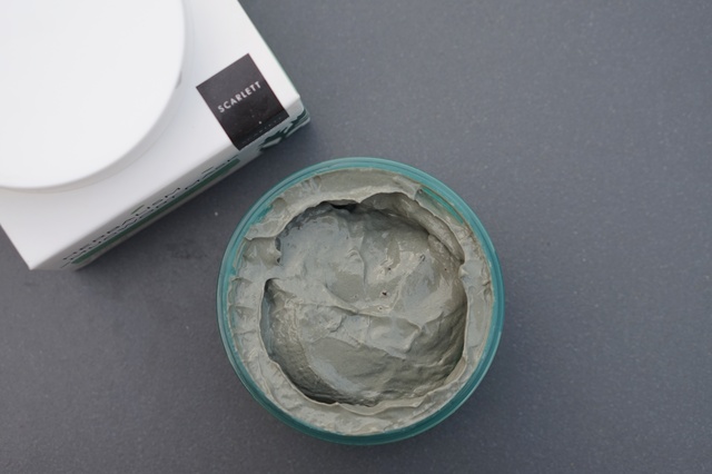 Review Herbalism Mugwort