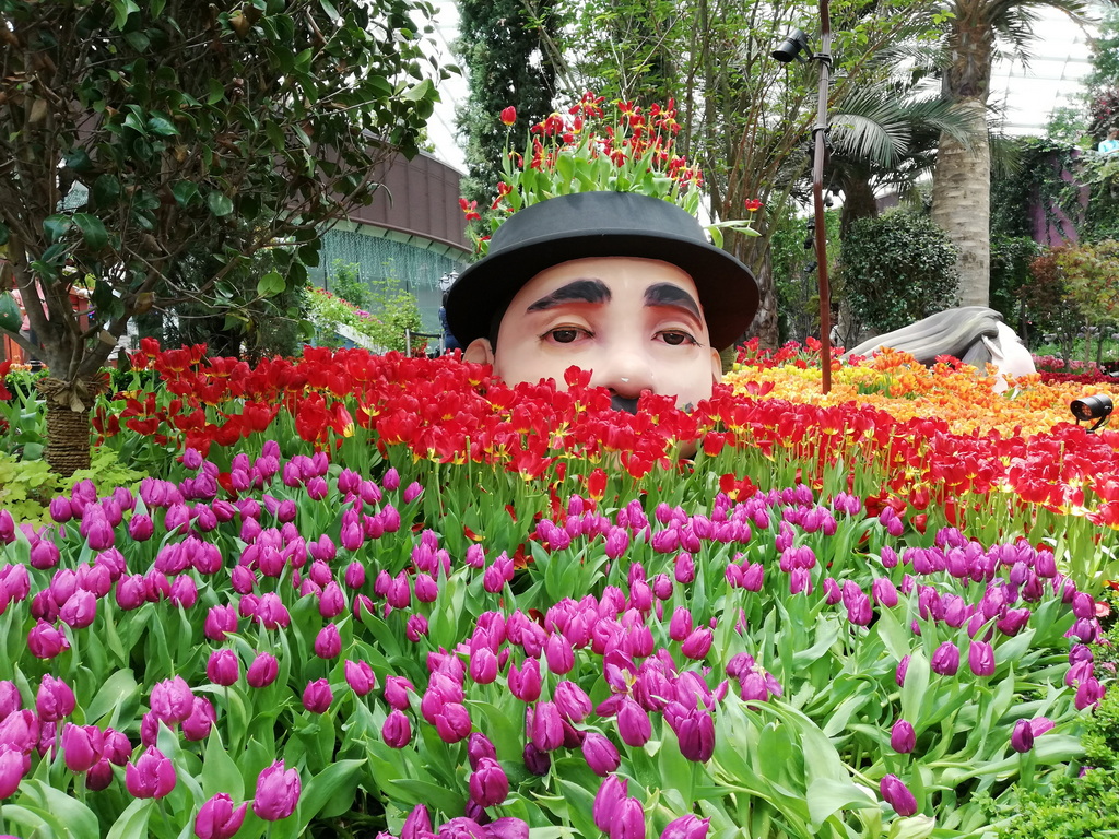 flower dome