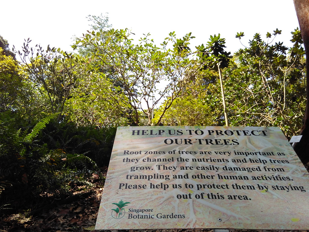 Singaproe Botanic Garden